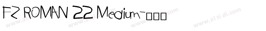 FZ ROMAN 22 Medium字体转换